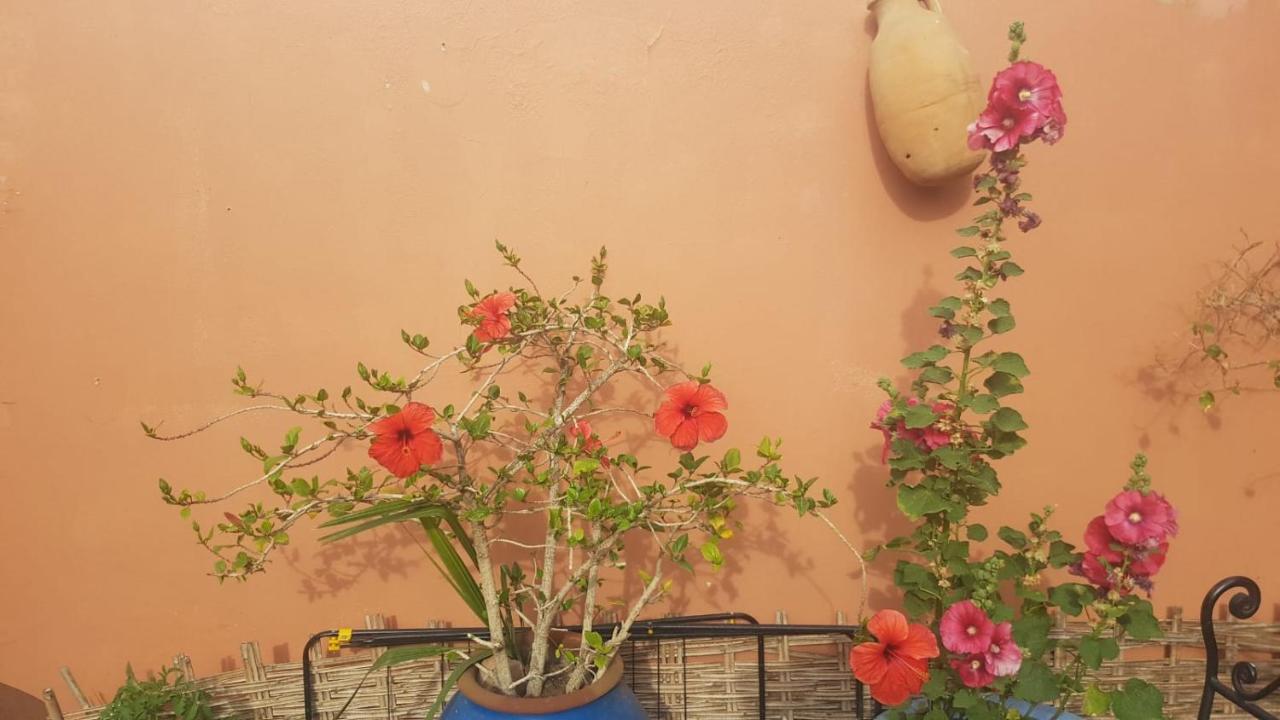 Chambres D'Hotes Les Amis Taroudant Buitenkant foto
